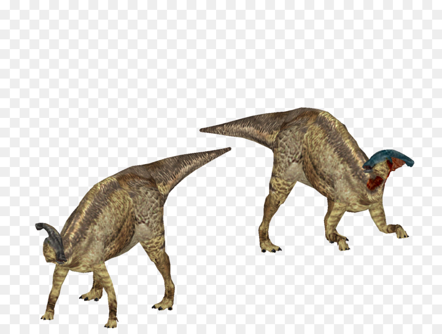 Velociraptor，Tiranossauro PNG