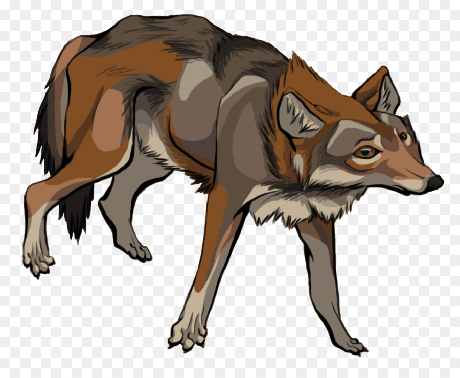 Lobo，Canino PNG