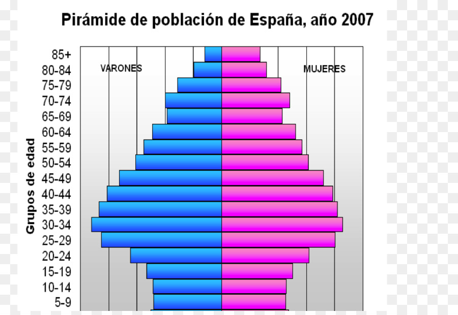 A Estrutura Etária Da População，Pirâmide Populacional PNG