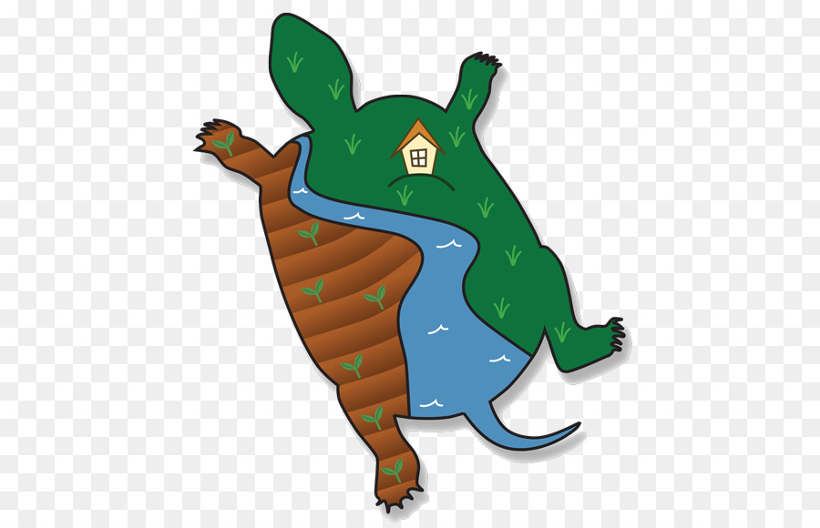 Tree Frog，Turtle PNG