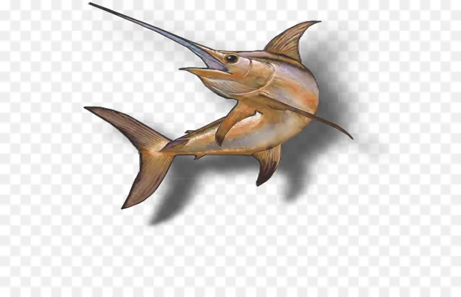 Peixe Espada，Peixe PNG