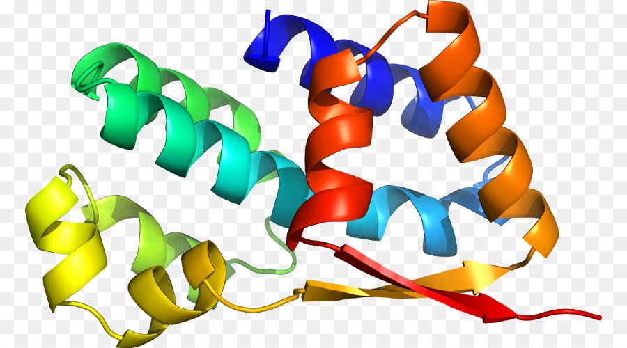 Hélice De Proteína，Molécula PNG