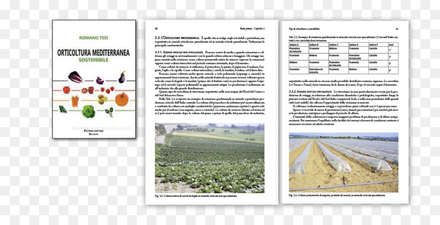 Livro De Agricultura，Vegetais PNG