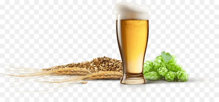 Cerveja，A Produção De Cerveja Grãos De Maltes PNG