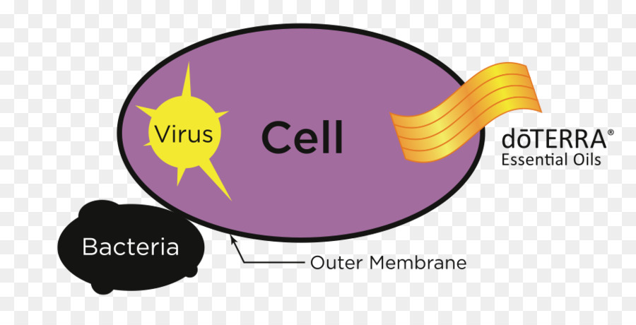 óleo Essencial，Doterra PNG