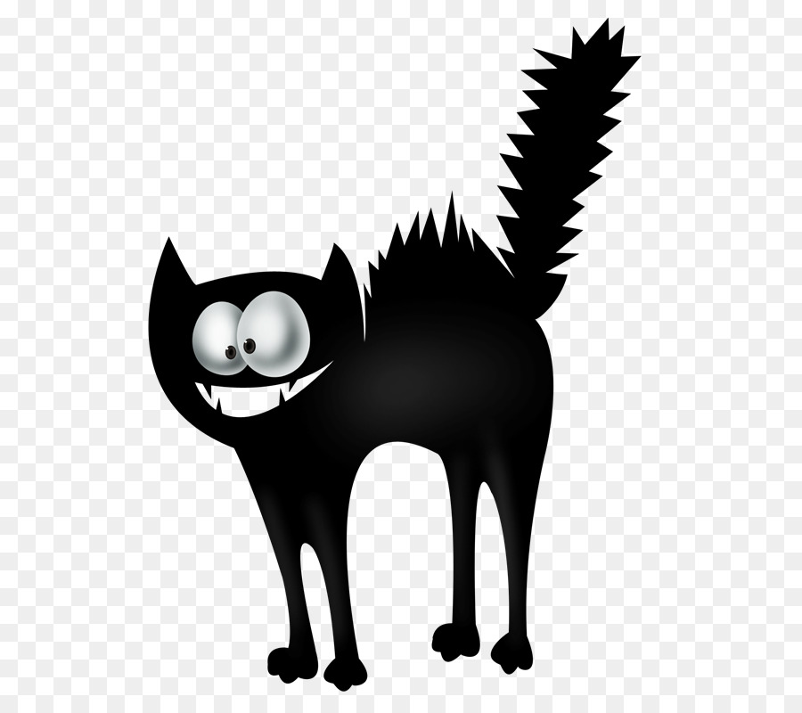 Gato，Gato Preto PNG