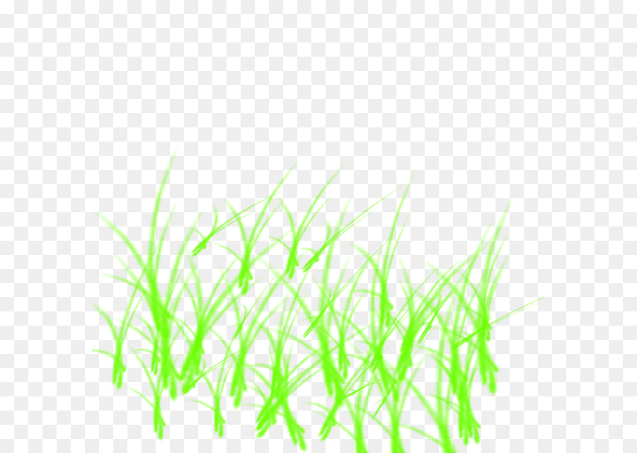 Sweet Grass，Verde PNG