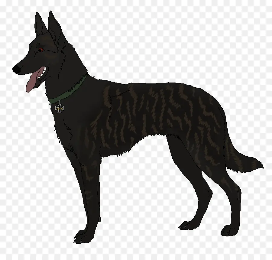 Raça Do Cão，Tervuren PNG