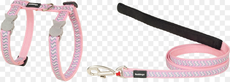 Leash，Rosa M PNG