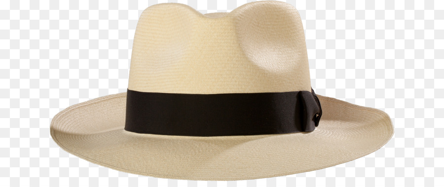 Fedora，Chapéu PNG