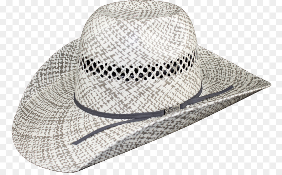 Fedora，Chapéu Americano Empresa PNG