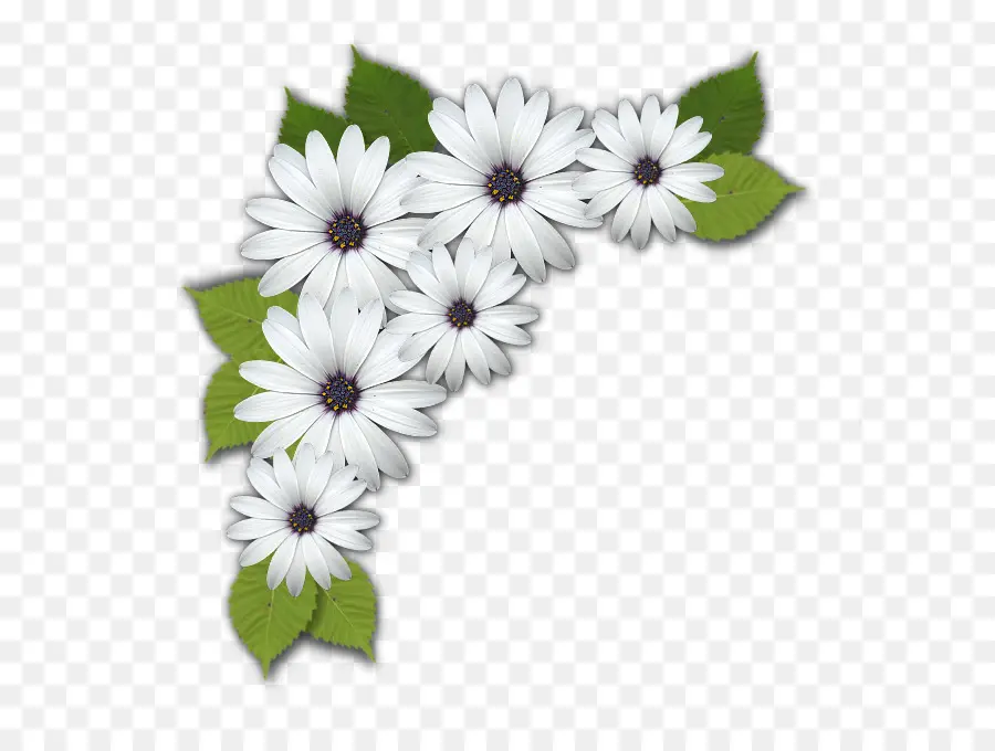 Flores Brancas，Folhas Verdes PNG