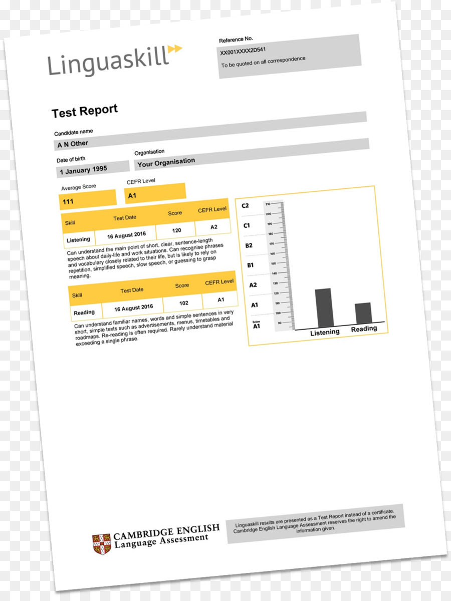 Relatório De Teste，Linguaskill PNG