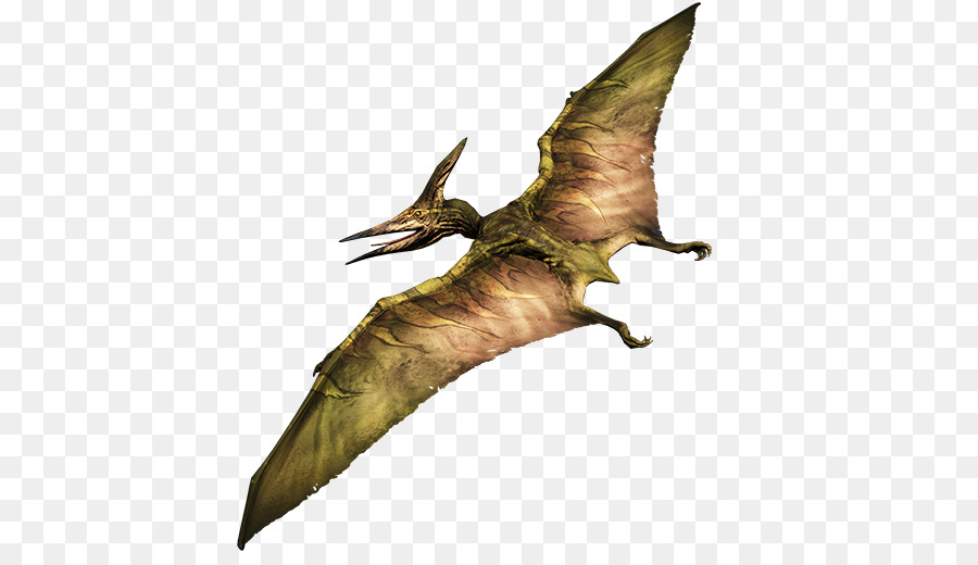 Pteranodon Primal Carnage Pterod Ctilo Png Transparente Gr Tis