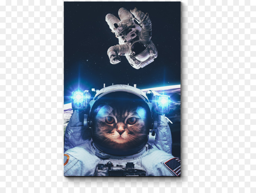 Gato Astronauta，Espaço PNG