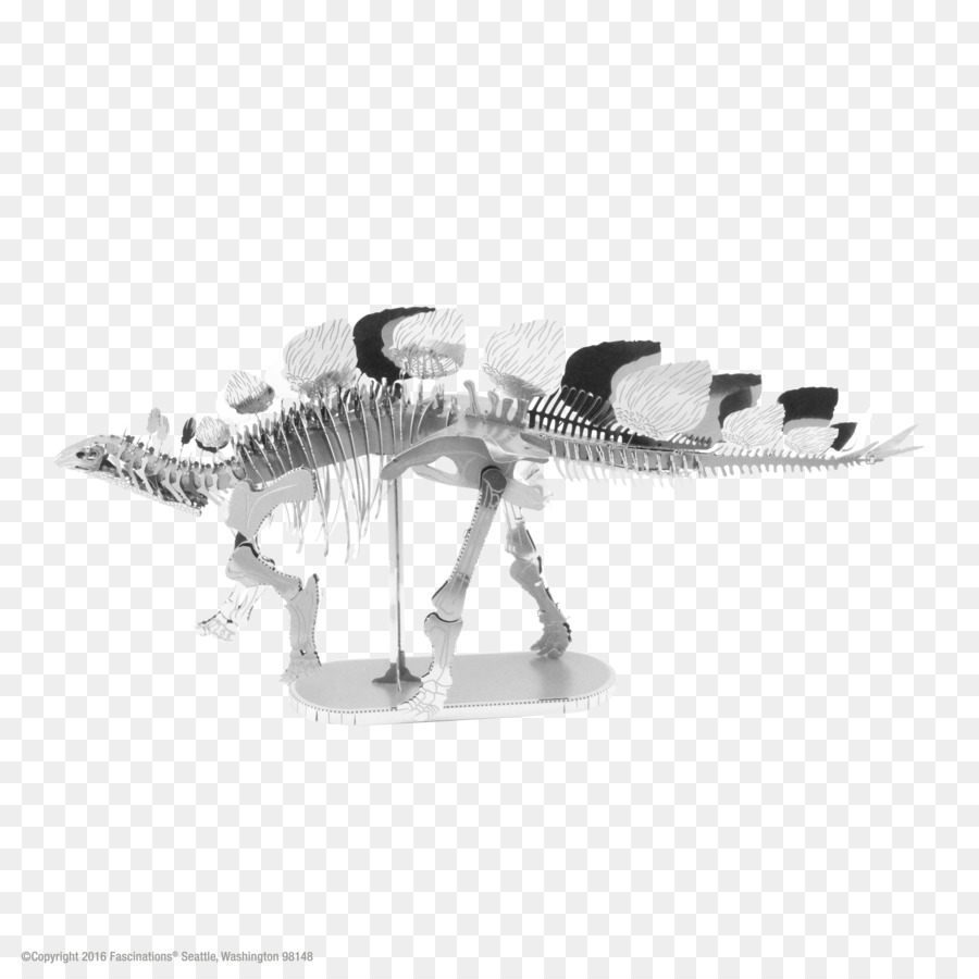Stegosaurus，Dinossauro PNG
