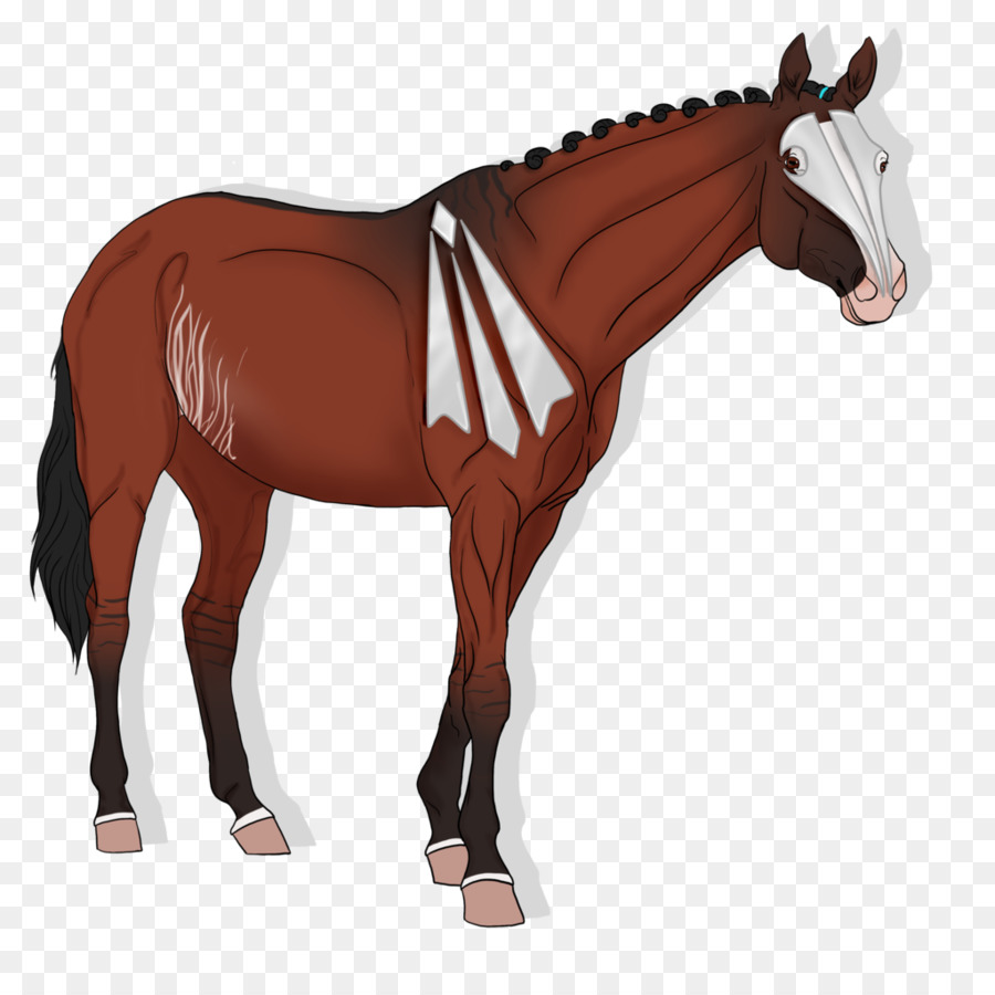 Cavalo árabe，A American Paint Horse PNG