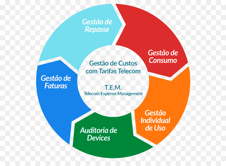 Desenvolvimento De Sistemas Ciclo De Vida，Ciclo De Vida Biológica PNG