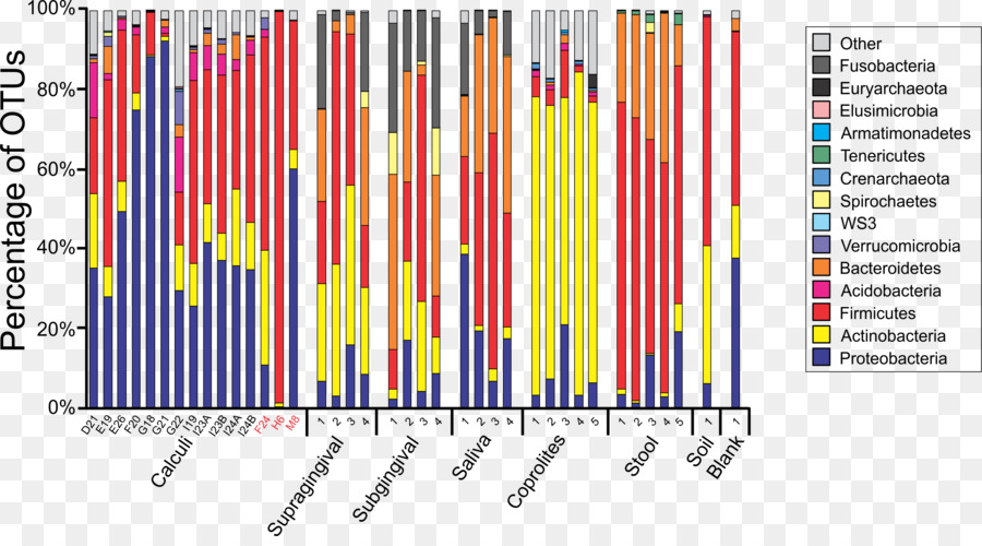 Microbiota，Ensaio Clínico PNG