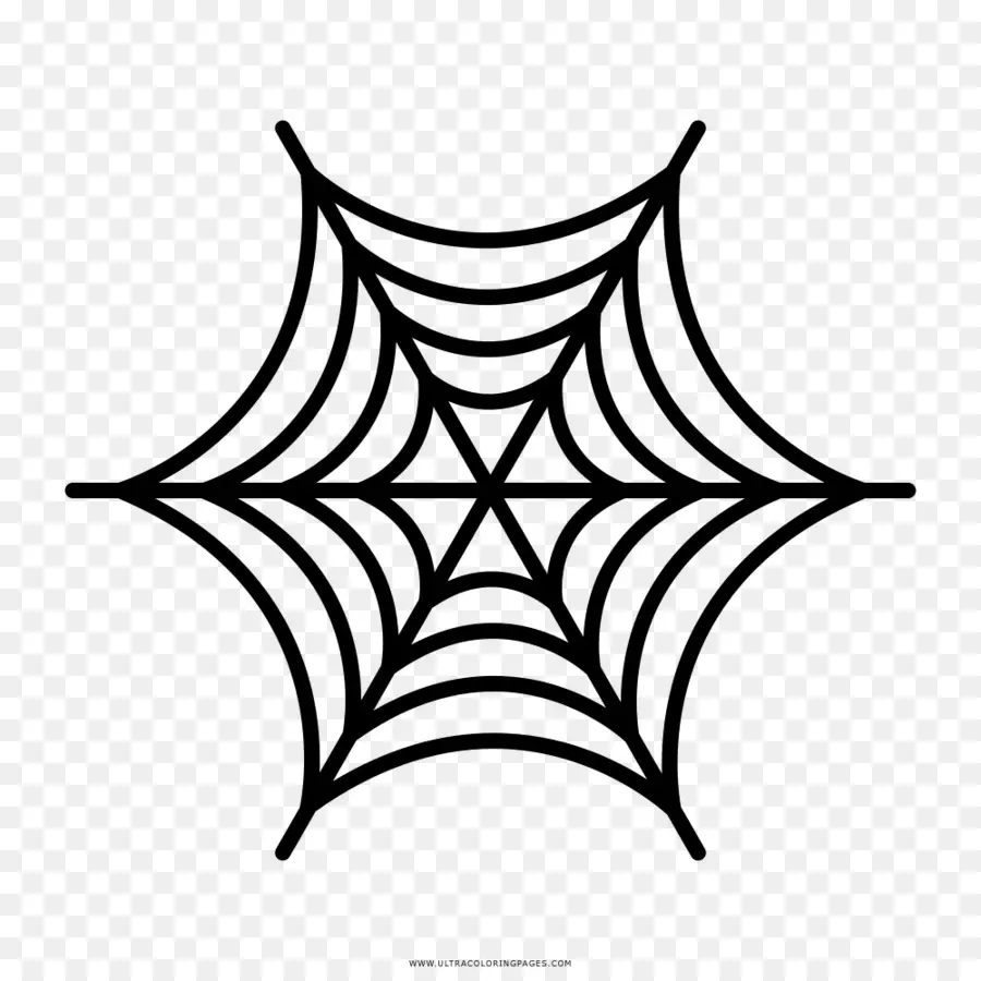 Teia De Aranha，Aranha PNG