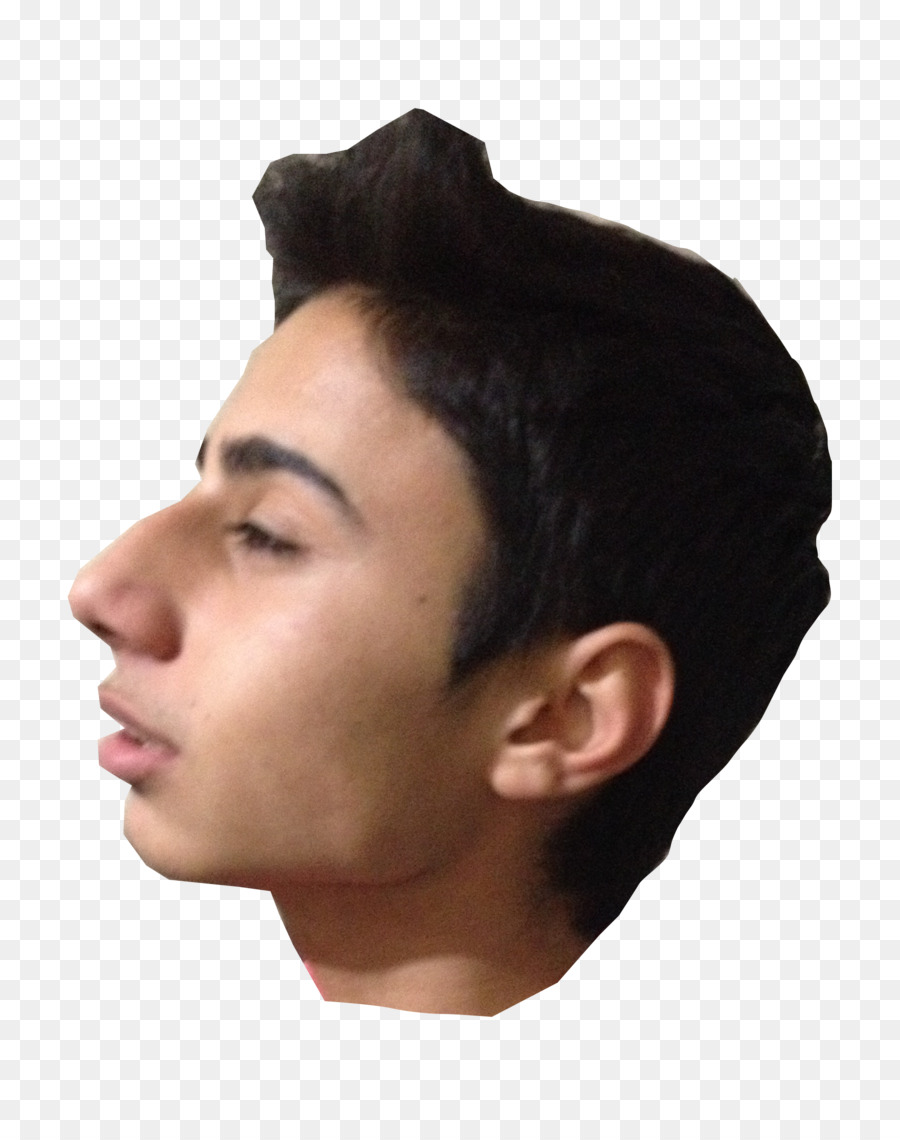 Queixo，Bochecha PNG