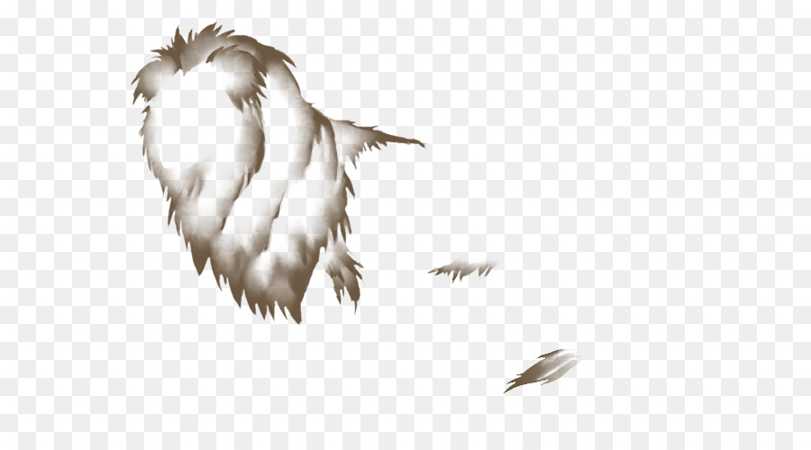 Pena，Aves PNG