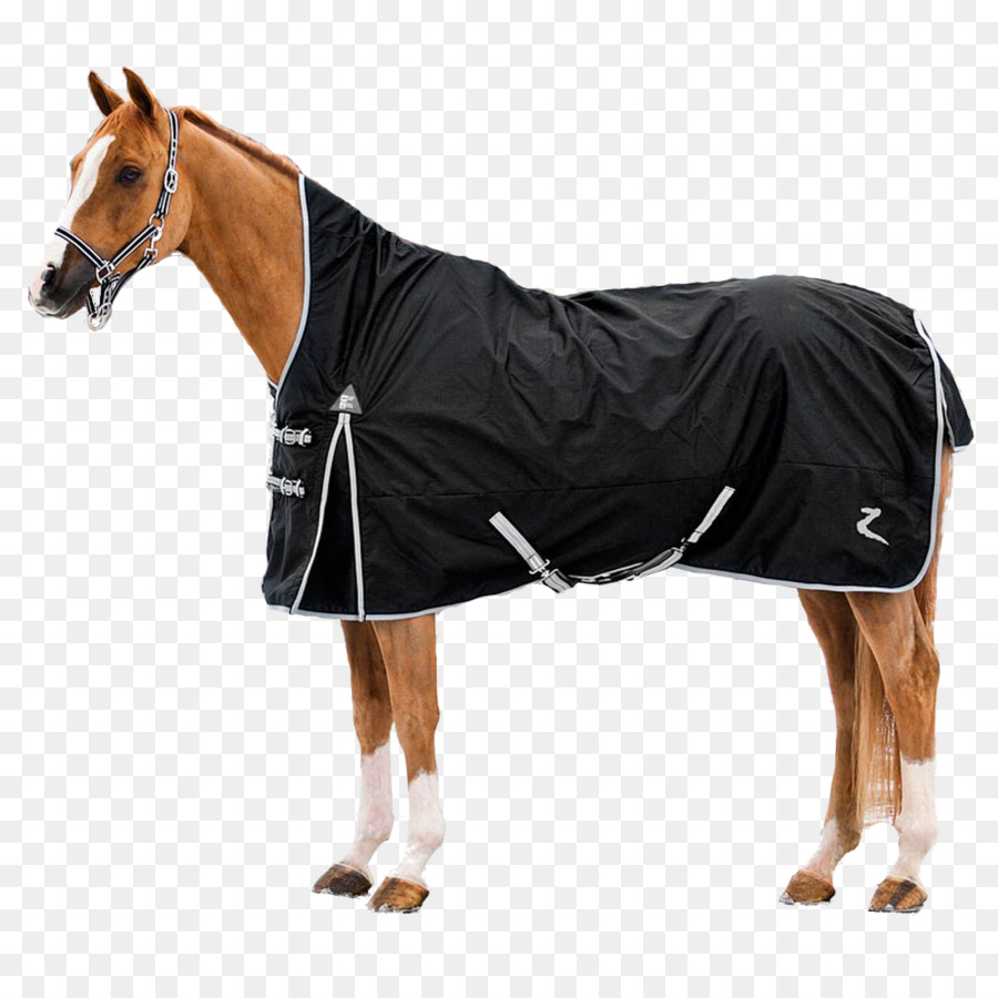 Cavalo，Cavalo Cobertor PNG