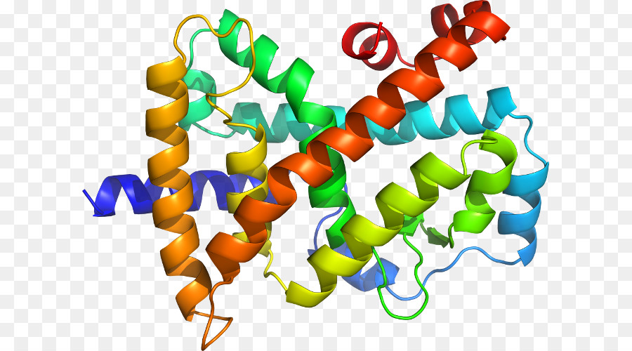 Estrutura Proteica，Biologia PNG