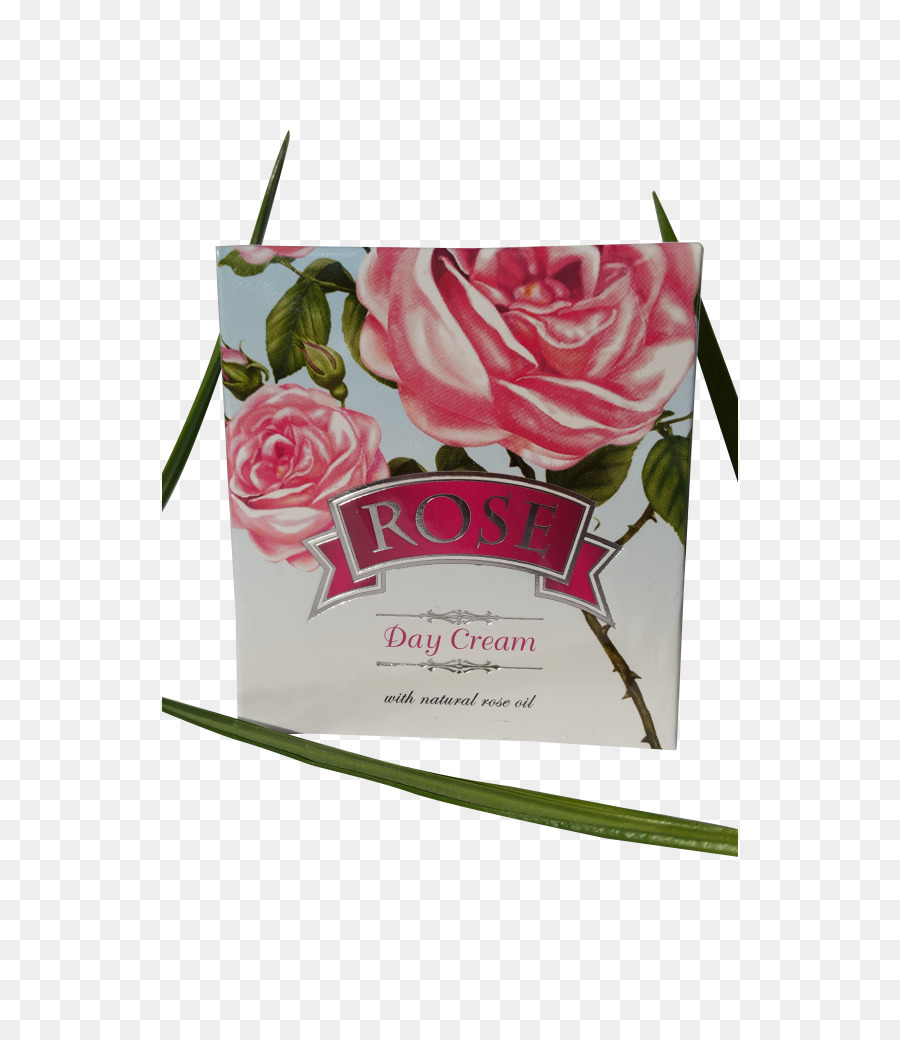 Creme，Rosa Da Bulgária PNG