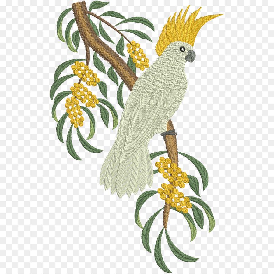 Cacatua，Pássaro PNG