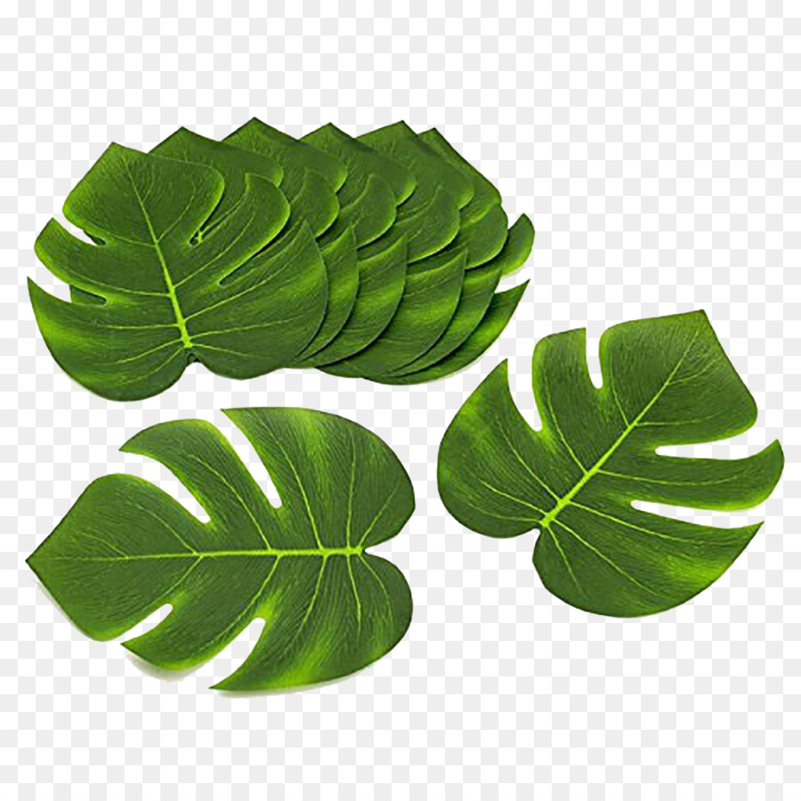 Folhas Verdes，Tropical PNG