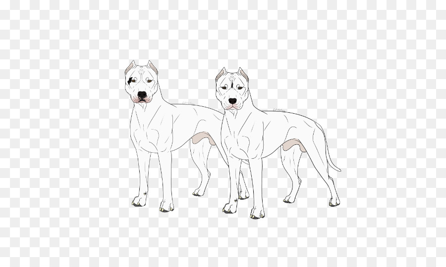 O Coreano Jindo，Kishu PNG