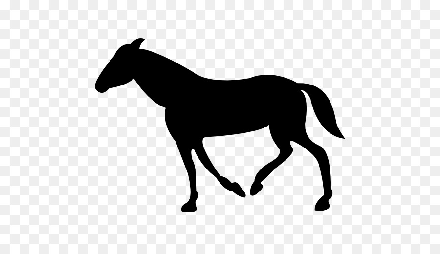 Cavalo，Equino PNG