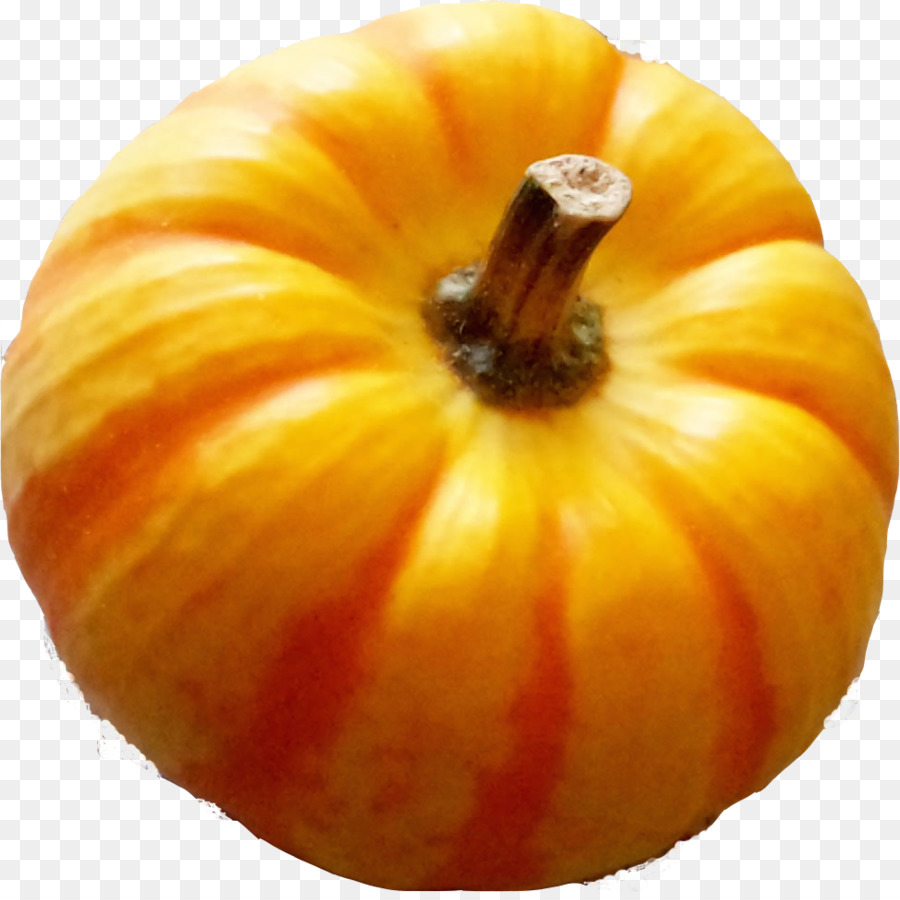 Butternut Squash，Abóbora PNG