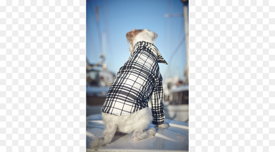 Cachorro，Tartan PNG