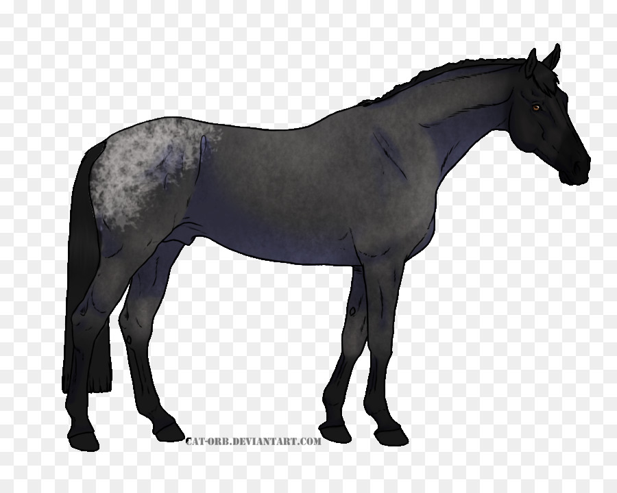 Cavalo，Equino PNG