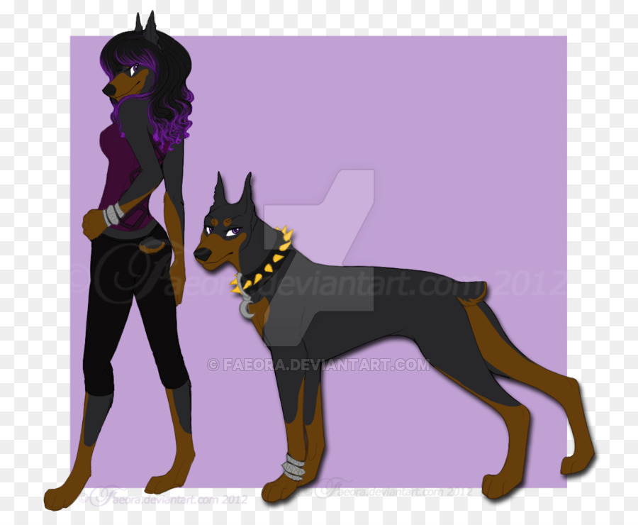 Dobermann，O Manchester Terrier PNG