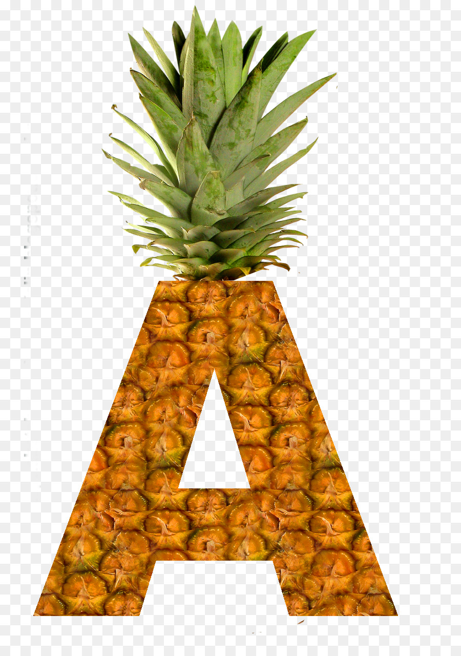 Abacaxi，Succade PNG