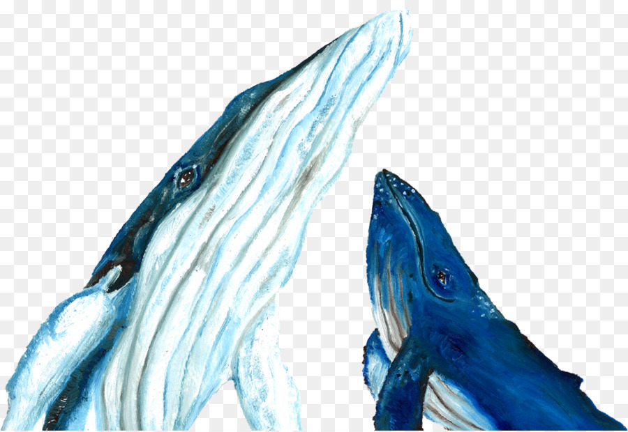 Dolphin，Cetacea PNG