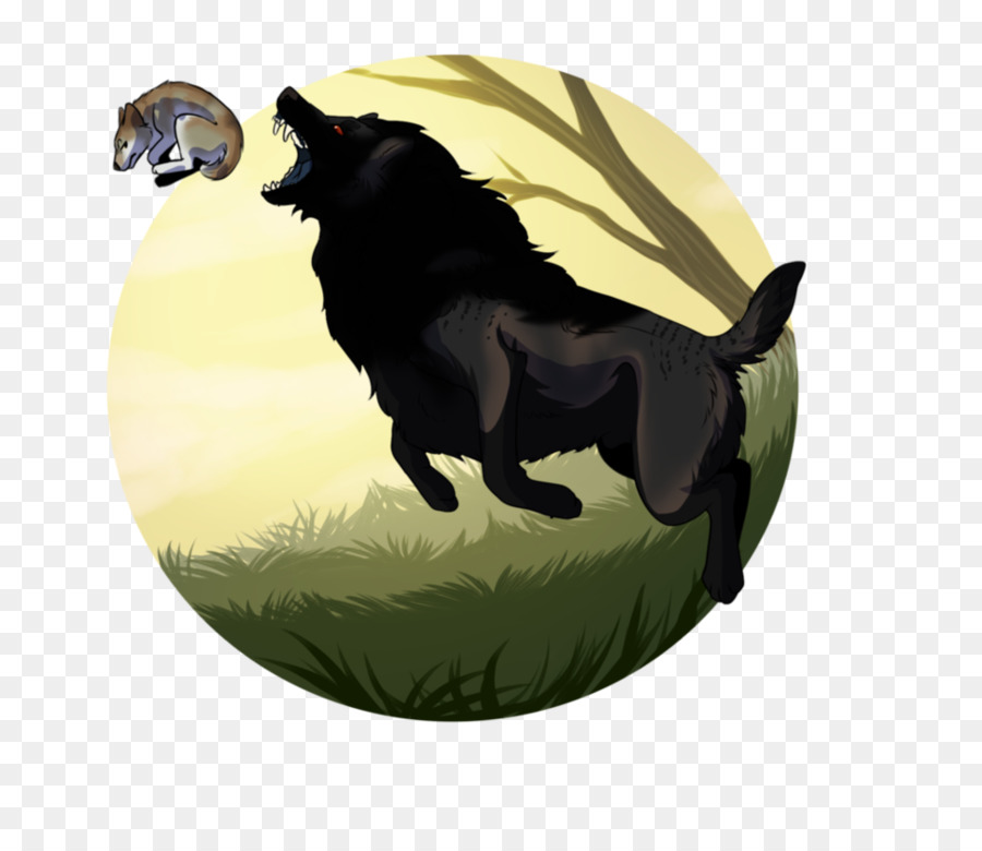 Raça Do Cão，Schipperke PNG