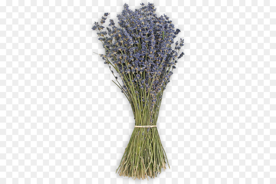 Buquê De Lavanda，Roxo PNG