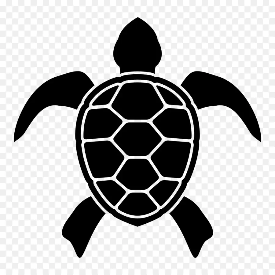Turtle，Raphael PNG