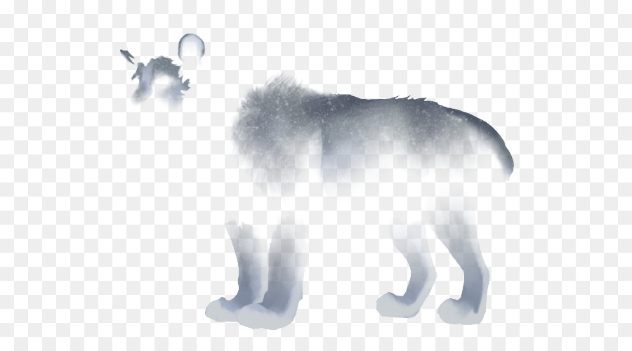 Cachorro，Gato PNG