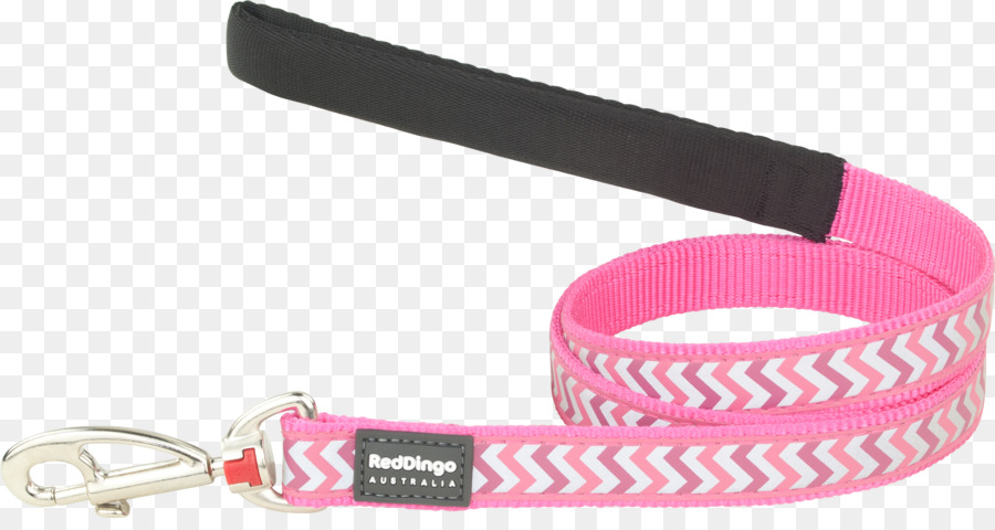 Leash，Chihuahua PNG