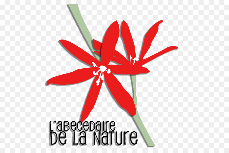 Logo，A Floração Da Planta PNG