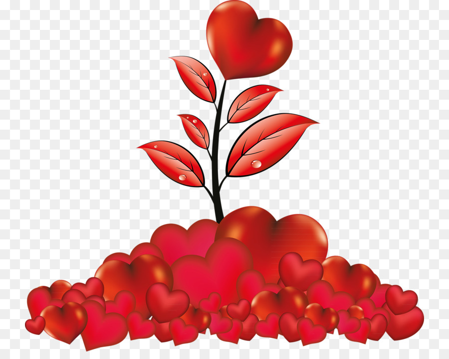 Flor，Coração PNG