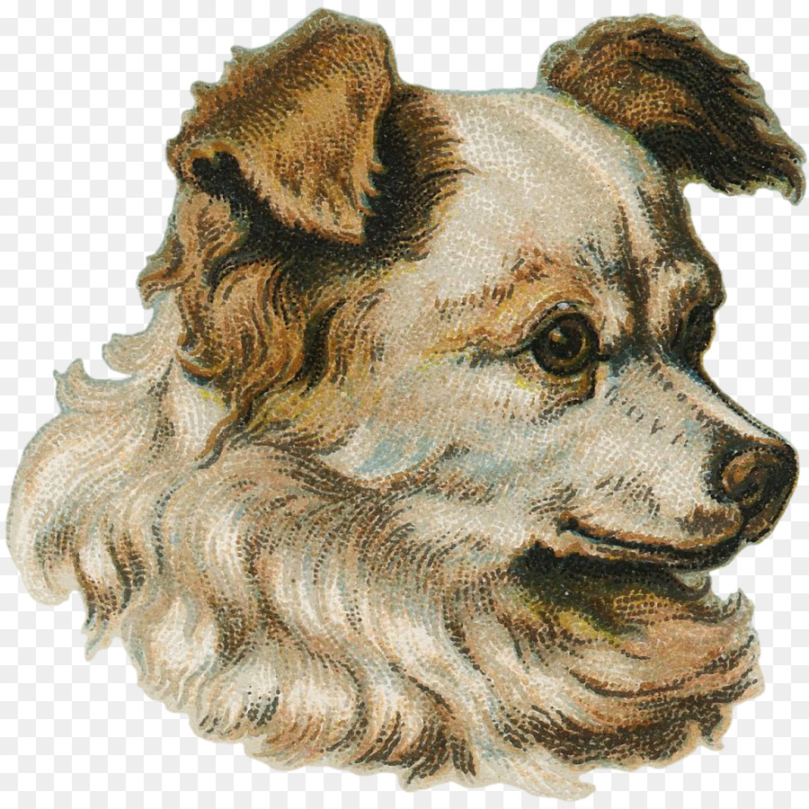 Cão De Companhia，Cachorro PNG