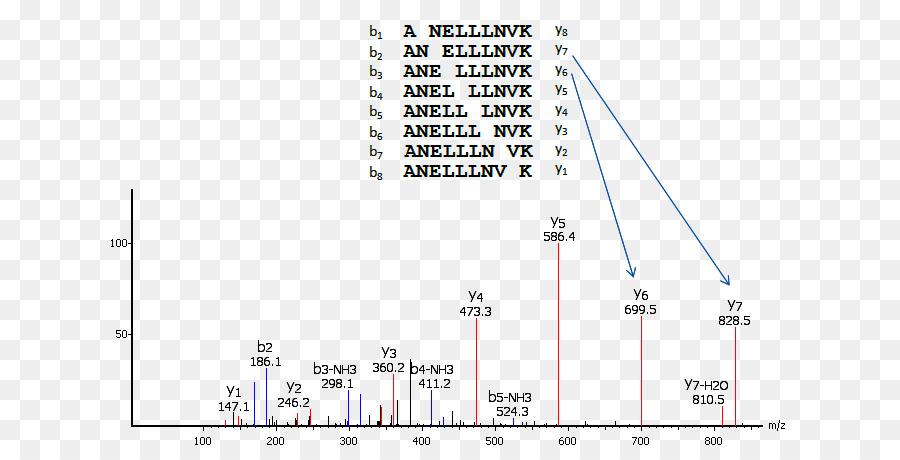 Espectrometria De Massa Em Tandem，Sequenciamento De Proteínas PNG