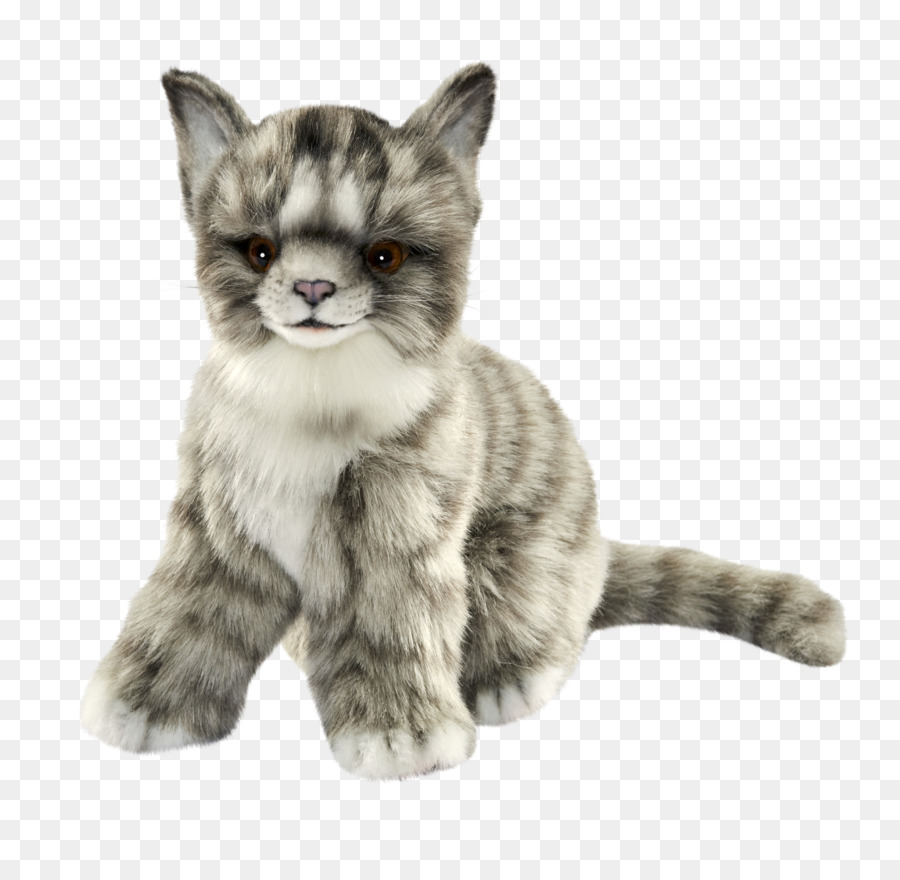 Bigodes，Gatinho PNG