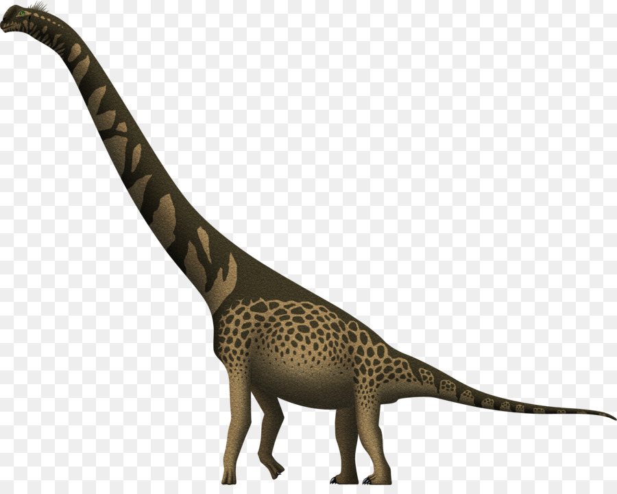 Dinossauro，Pré Histórico PNG